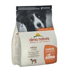 Almo Nature Holistic Maintenance M/L izmēra suņiem, ar jēra gaļu, 2kg. cena un informācija | Sausā barība suņiem | 220.lv