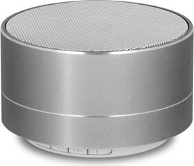 Аудиоколонка Forever PBS-100 Bluetooth, серая цена и информация | Аудиоколонки | 220.lv