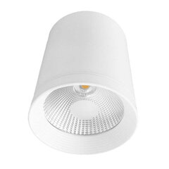 Light Prestige gaismeklis Zovo 1 white LED cena un informācija | Griestu lampas | 220.lv