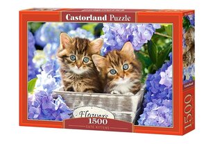 Puzle Castorland Cute Kittens, 1500 det. cena un informācija | Puzles, 3D puzles | 220.lv