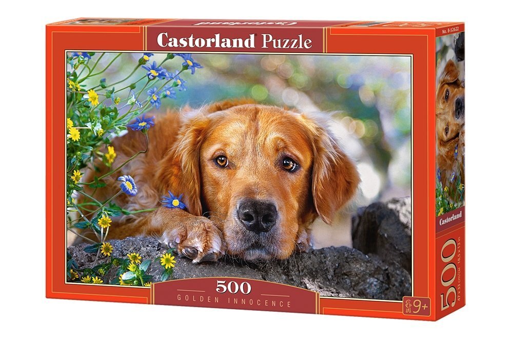 Puzle Castorland Golden Innocence, 500 det. цена и информация | Puzles, 3D puzles | 220.lv