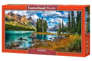 Пазл Castorland The Spirit Island, 4000 шт. цена и информация | Пазлы | 220.lv