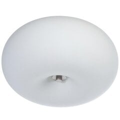 Лампа OPTICA цена и информация | Потолочные светильники | 220.lv