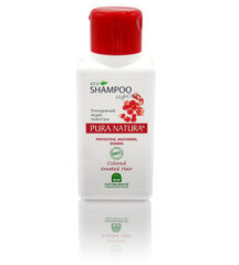 Šampūns krāsotiem matiem Natura House Pura Natura 250 ml cena un informācija | Šampūni | 220.lv