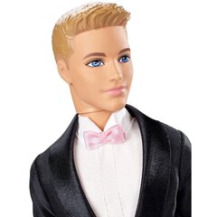 Кукла Barbie - жених Ken цена и информация | Игрушки для девочек | 220.lv