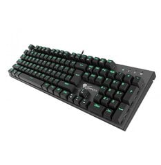 Genesis Thor 300, Gaming keyboard, US цена и информация | Клавиатуры | 220.lv