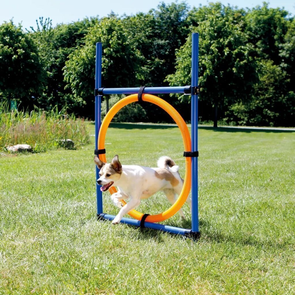 Trixie barjera ar veiklības gredzenu cena un informācija | Piederumi suņu trenēšanai | 220.lv