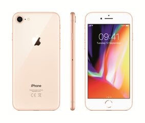 Apple iPhone 8 64ГБ, Золотого цвета цена и информация | Мобильные телефоны | 220.lv