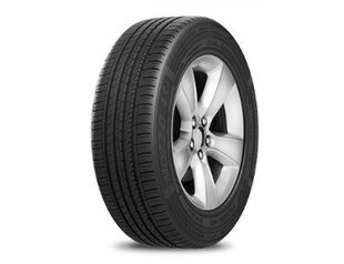 Duraturn MOZZO S 175/70R14 84 T cena un informācija | Vasaras riepas | 220.lv