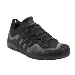 Спортивная обувь мужская Adidas TERREX SWIFT SOLO D67031 цена и информация | Кроссовки мужские | 220.lv