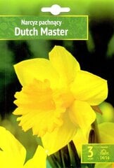 Narcises Dutch Master 3gab. цена и информация | Луковичные цветы | 220.lv