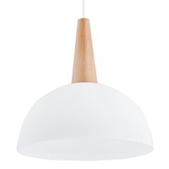 Lampa FOTYN cena un informācija | Piekaramās lampas | 220.lv