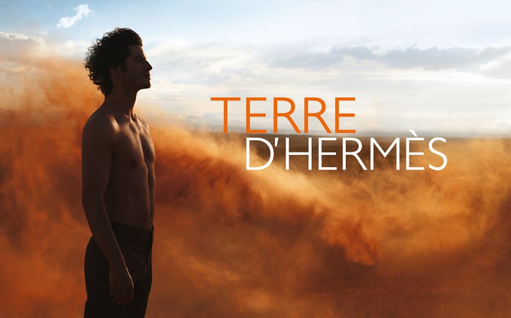 Terre D` Hermes - EDT 30 ml (plnitelná) + EDT 125 ml (náplň) cena un informācija | Vīriešu smaržas | 220.lv