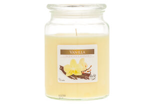 Ароматическая свеча Vanilla 14x9,9 см цена и информация | Подсвечники, свечи | 220.lv