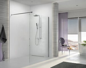 Dušas kabīne Sanplast Altus Walk-In P/ALTIIa-100-S cm/sbW0 цена и информация | Душевые двери и стены | 220.lv