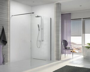 Walk-In dušas kabīne Sanplast Altus P/ALTIIa 120s cena un informācija | Dušas durvis, dušas sienas | 220.lv