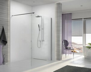 Walk-In dušas kabīne Sanplast Altus P/ALTIIa 140s cena un informācija | Dušas durvis, dušas sienas | 220.lv