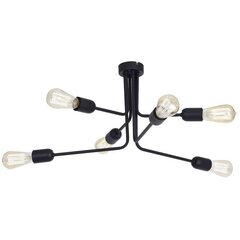 Подвесной светильник Eko цена и информация | Настенный/подвесной светильник Eye Spot 11 BL, чёрный | 220.lv