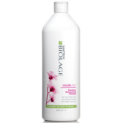 Šampūns krāsotiem matiem Matrix Biolage Colorlast 1000 ml цена и информация | Шампуни | 220.lv