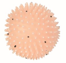Trixie флуоресцентный мяч ежик цена и информация | Игрушки для собак | 220.lv