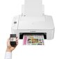 Canon PIXMA TS3151 MFP Wi-Fi Printer / Scanner / Copier inkjet color cena un informācija | Printeri un daudzfunkcionālās ierīces | 220.lv