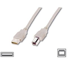 Logilink USB 2.0 A to USB 2.0 B Cable US цена и информация | Кабели и провода | 220.lv