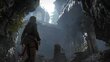Spēle priekš PlayStation 4, Rise Of The Tomb Raider: 20 Year Celebration цена и информация | Datorspēles | 220.lv