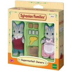 Kaķi un veikals Sylvanian Families 2813 cena un informācija | Rotaļlietas meitenēm | 220.lv