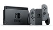 Nintendo Switch, Pelēka cena un informācija | Spēļu konsoles | 220.lv