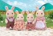 Trušu ģimene Sylvanian Families цена и информация | Rotaļlietas meitenēm | 220.lv