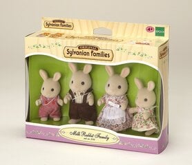 Trušu ģimene Sylvanian Families цена и информация | Игрушки для девочек | 220.lv