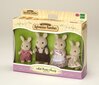 Trušu ģimene Sylvanian Families цена и информация | Rotaļlietas meitenēm | 220.lv