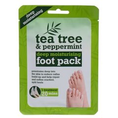 Xpel Tea Tree Tea Tree & Peppermint Deep Moisturising Foot Pack крем для ног 1 цена и информация | Кремы, лосьоны для тела | 220.lv