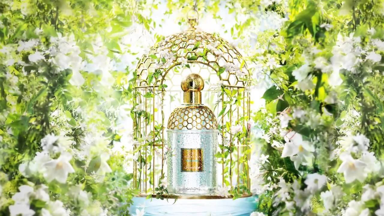 Tualetes ūdens Guerlain Aqua Allegoria Herba Fresca EDT sieviešu 75 ml cena un informācija | Sieviešu smaržas | 220.lv