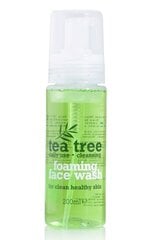 Tīrīšanas sejas putas Xpel Tea Tree 200 ml цена и информация | Средства для очищения лица | 220.lv