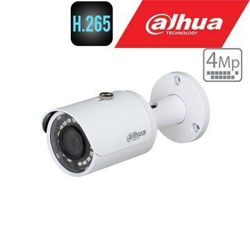 IP 4 megapikseļu Zhejiang Dahua Technology IP kamera IR 30 m, 3,6 mm цена и информация | Novērošanas kameras | 220.lv