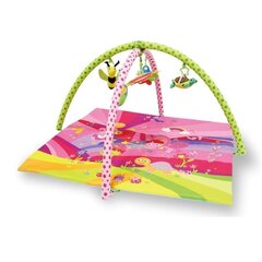 Lorelli развивающий коврик Fairy Tales Pink цена и информация | Развивающие коврики | 220.lv