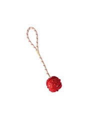 Peldoša bumba ar virvi Trixie, 35 cm cena un informācija | Suņu rotaļlietas | 220.lv