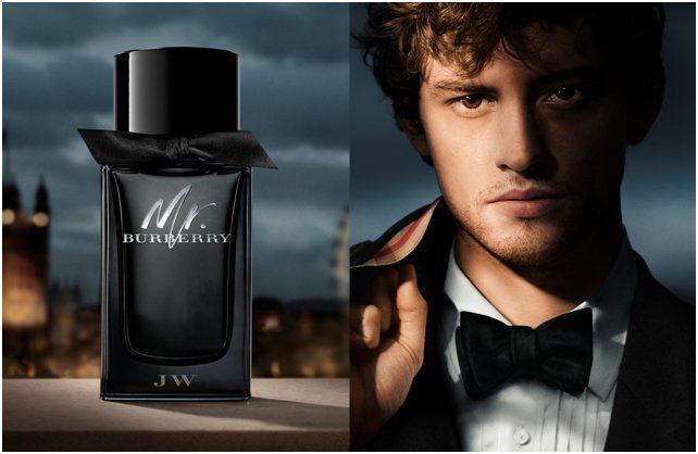 Smaržas Burberry Mr Burberry EDP vīriešiem, 50 ml cena un informācija | Vīriešu smaržas | 220.lv