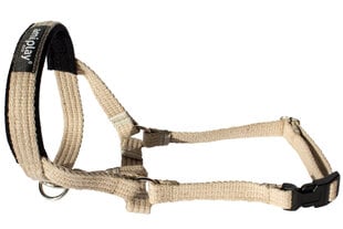Dog Collars & Harnesses Amiplay kakla siksna Cotton XS Yorkshire Terrier,  smilšu price