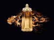 Parfimērijas ūdens Thierry Mugler Alien Oud Majestueux edp 90 ml цена и информация | Sieviešu smaržas | 220.lv