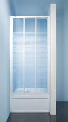 Дверь для душа Sanplast Classic DT r-c 90-100s, W4 стекло цена и информация | Душевые двери и стены | 220.lv