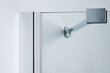 Nišas dušas durvis Sanplast Free Line DJ2/Free 90s W0 цена и информация | Dušas durvis, dušas sienas | 220.lv