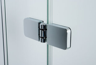 Nišas dušas durvis Sanplast Free Line DJ2/Free 100s W0 cena un informācija | Dušas durvis, dušas sienas | 220.lv