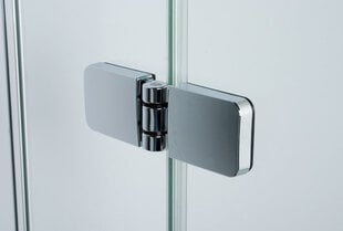 Nišas dušas durvis Sanplast Free Line DJ2/Free 100s. W16 cena un informācija | Dušas durvis, dušas sienas | 220.lv