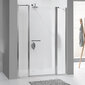 Dušas siena Sanplast Prestige III SS2/PR III 50s, spīdīgs sudrabs цена и информация | Dušas durvis, dušas sienas | 220.lv