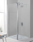 Dušas kabīne Walk-In Sanplast Prestige III PR2/PR III 80s, matēts grafīts cena un informācija | Dušas durvis, dušas sienas | 220.lv