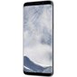 Samsung Galaxy S8 (G950) 64GB Silver cena un informācija | Mobilie telefoni | 220.lv