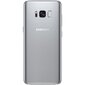 Samsung Galaxy S8 (G950) 64GB Silver cena un informācija | Mobilie telefoni | 220.lv