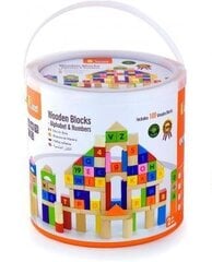 Деревянные цветные блоки с буквами и цифрами Viga, 100 ч. цена и информация | Игрушки для малышей | 220.lv